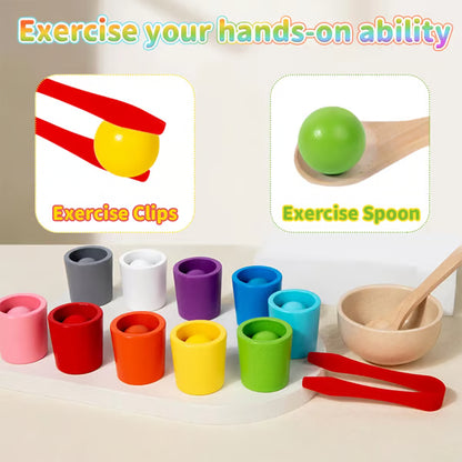 Rainbow Ball Drop Cups Toy