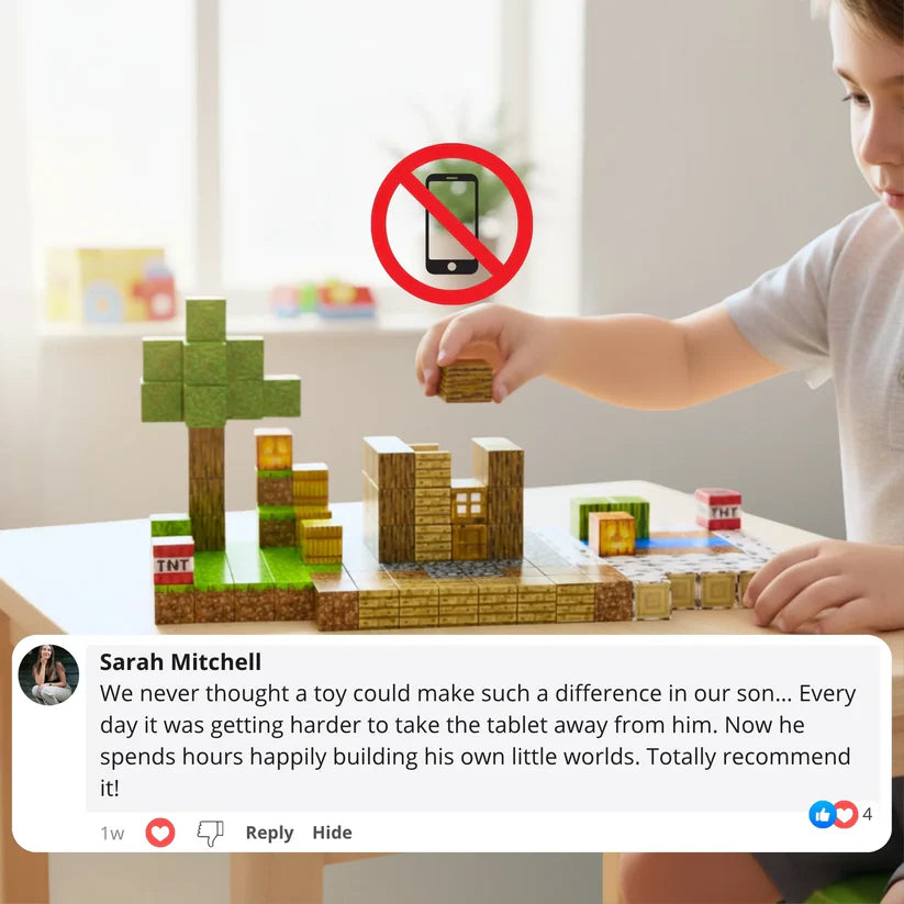 Magnetic Blocks Building Set